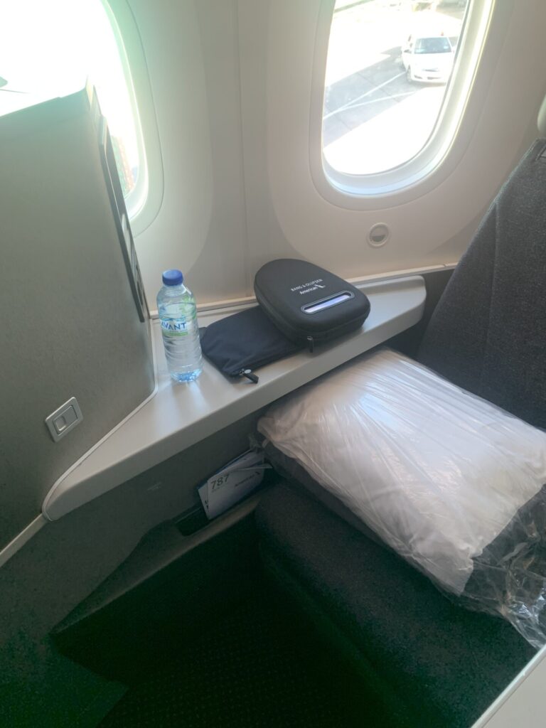 Neil Scrivener reviews the American Airlines Flagship Business Class seat - next to a window facing backwards on the 787-8.