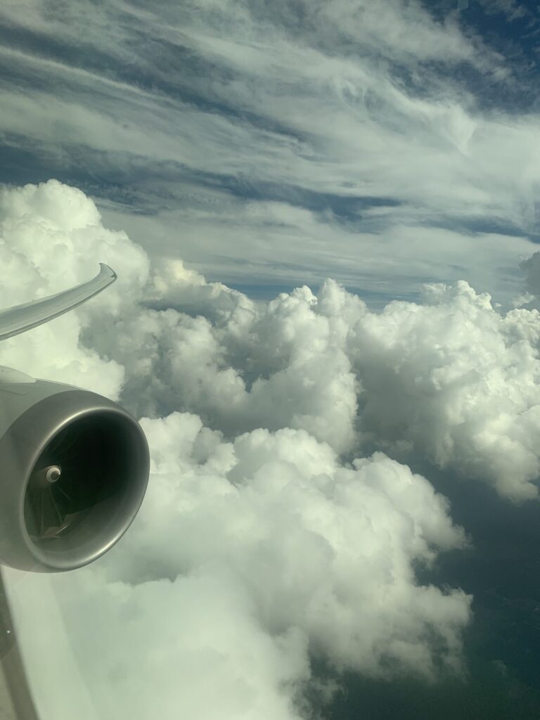 Neil Scrivener reviews the American Airlines Flagship Business Class seat - next to a window facing backwards on the 787-8.